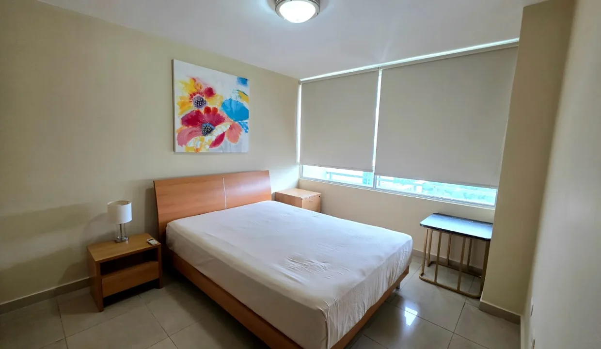 Citrus 2804 (21)