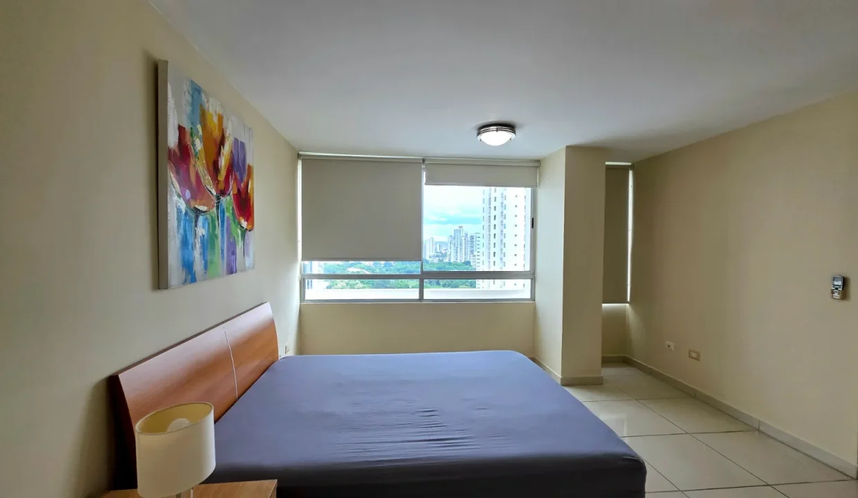 Citrus 2804 (50)