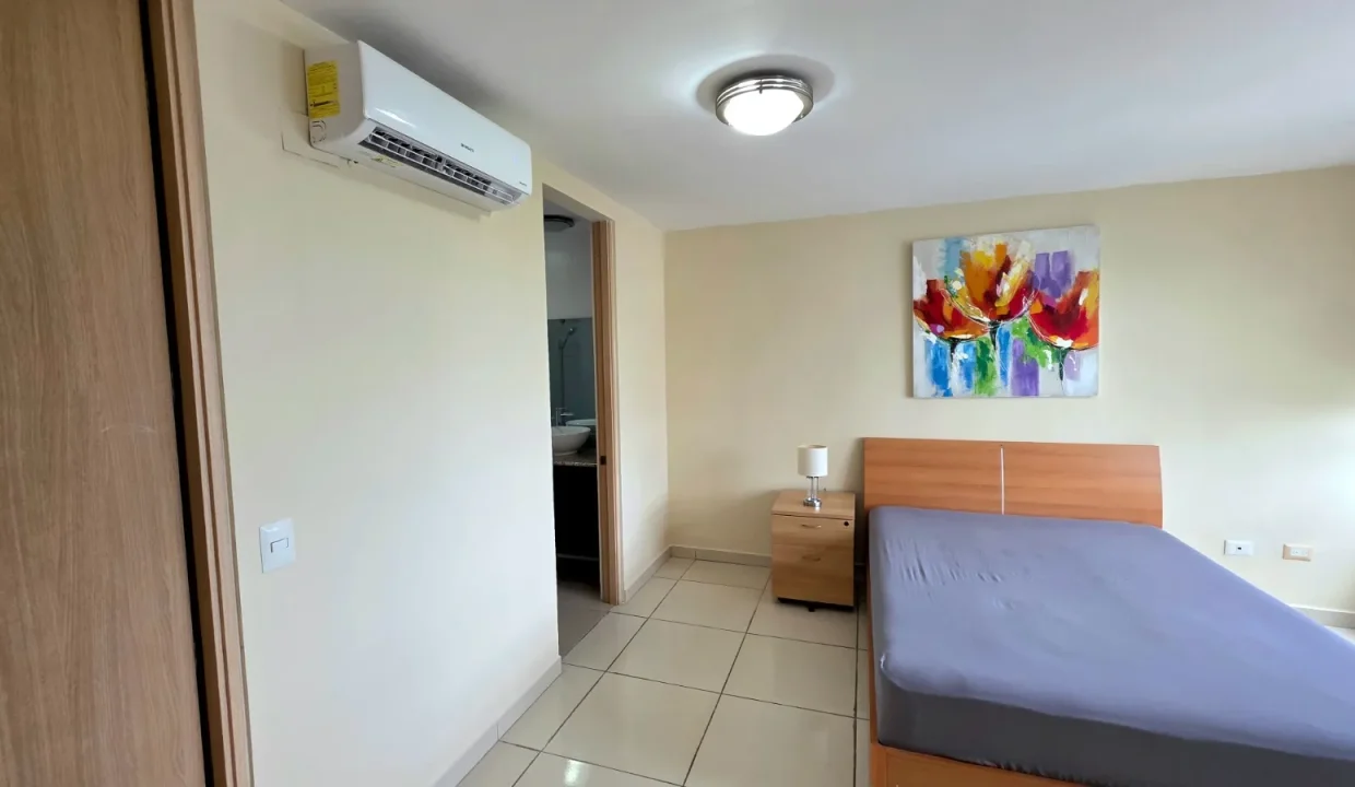 Citrus 2804 (51)