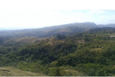 LAND12