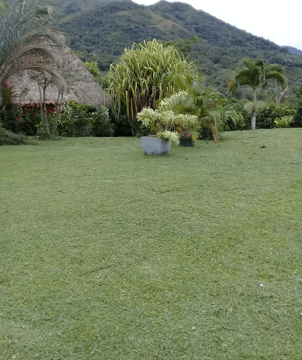 Sora, Panama