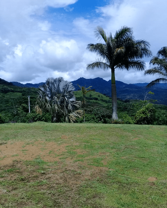 Sora, Panama