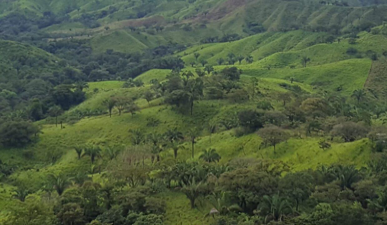 IMG-20220914-WA0060