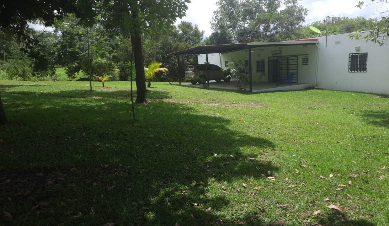IMG-20250318-WA0004