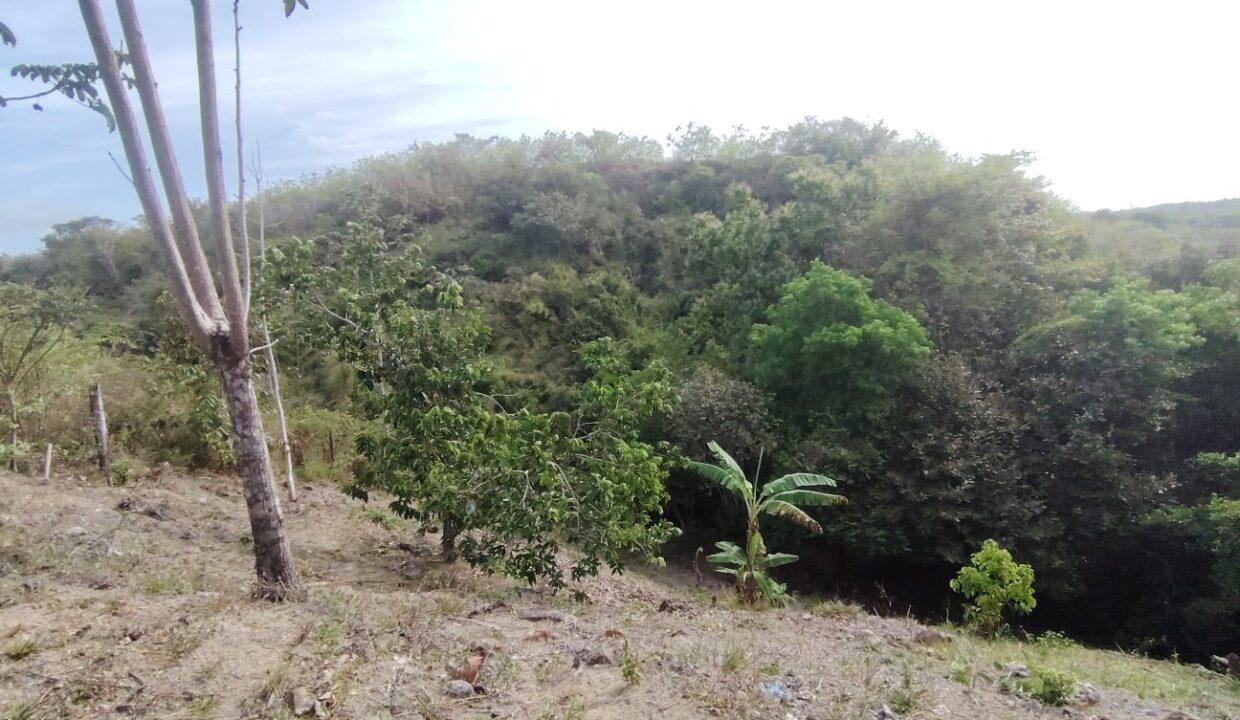IMG-20250328-WA0038