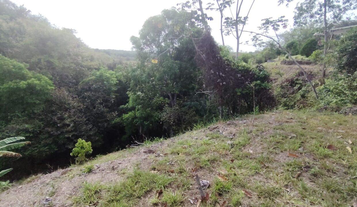 IMG-20250328-WA0039