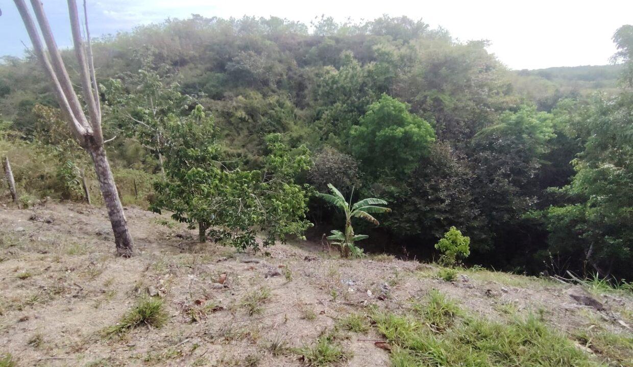 IMG-20250328-WA0040