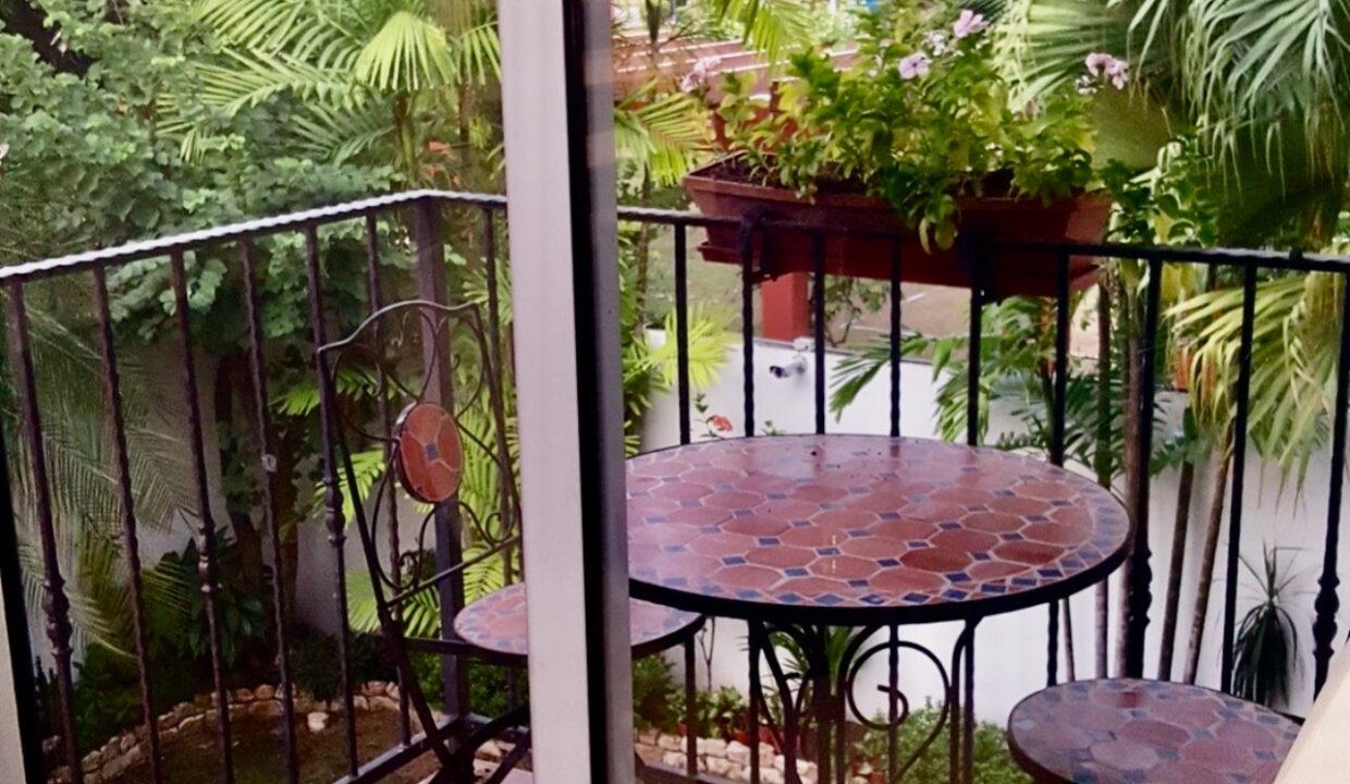 palmeras balcon