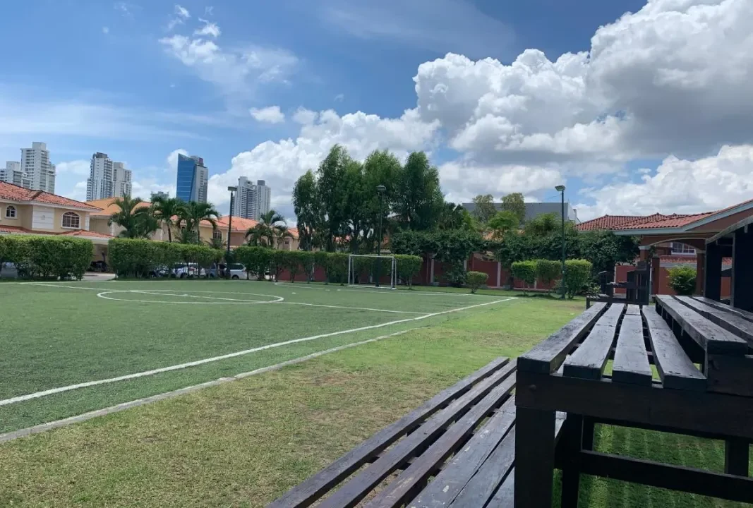 palmeras cancha fut