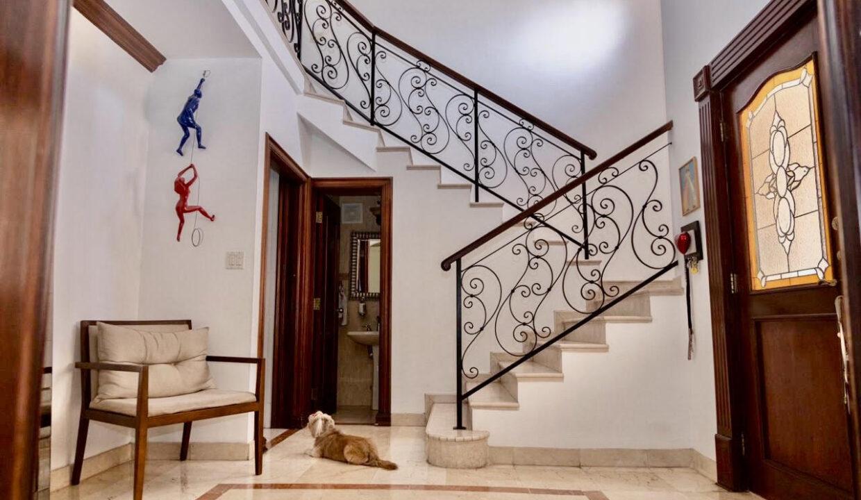 palmeras escalera desde estudio