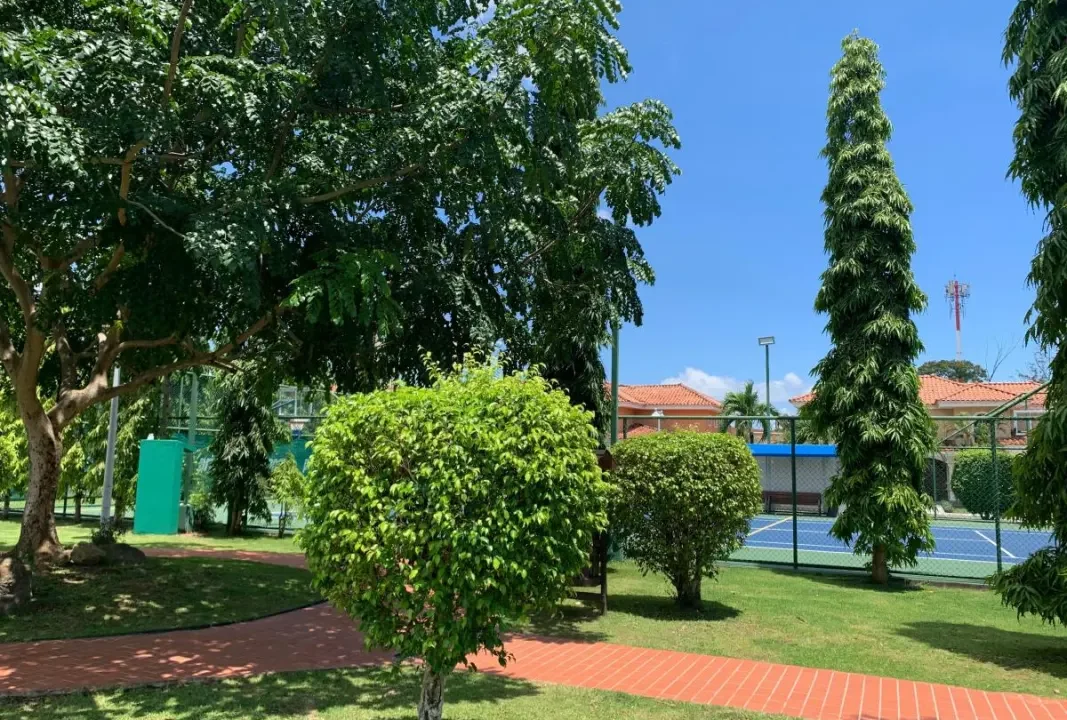 palmeras parque1