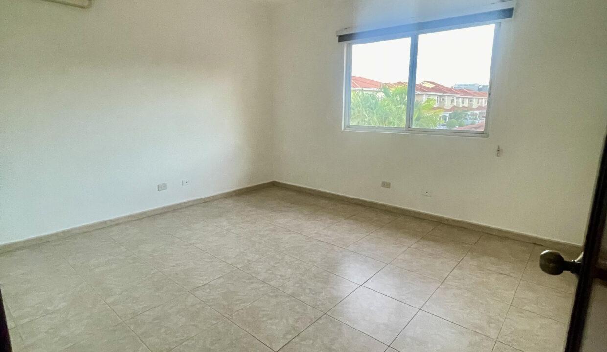 palmeras rec 2