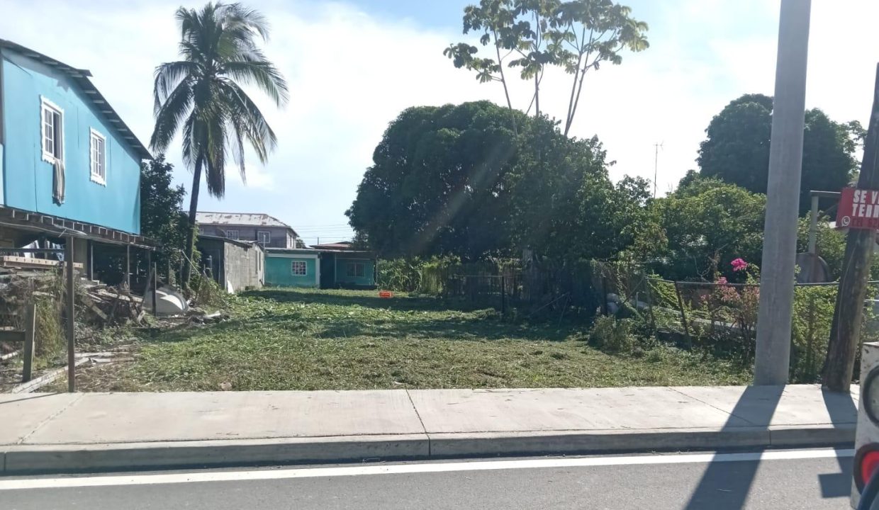 WhatsApp Image 2025-12-16 at 10.02.29