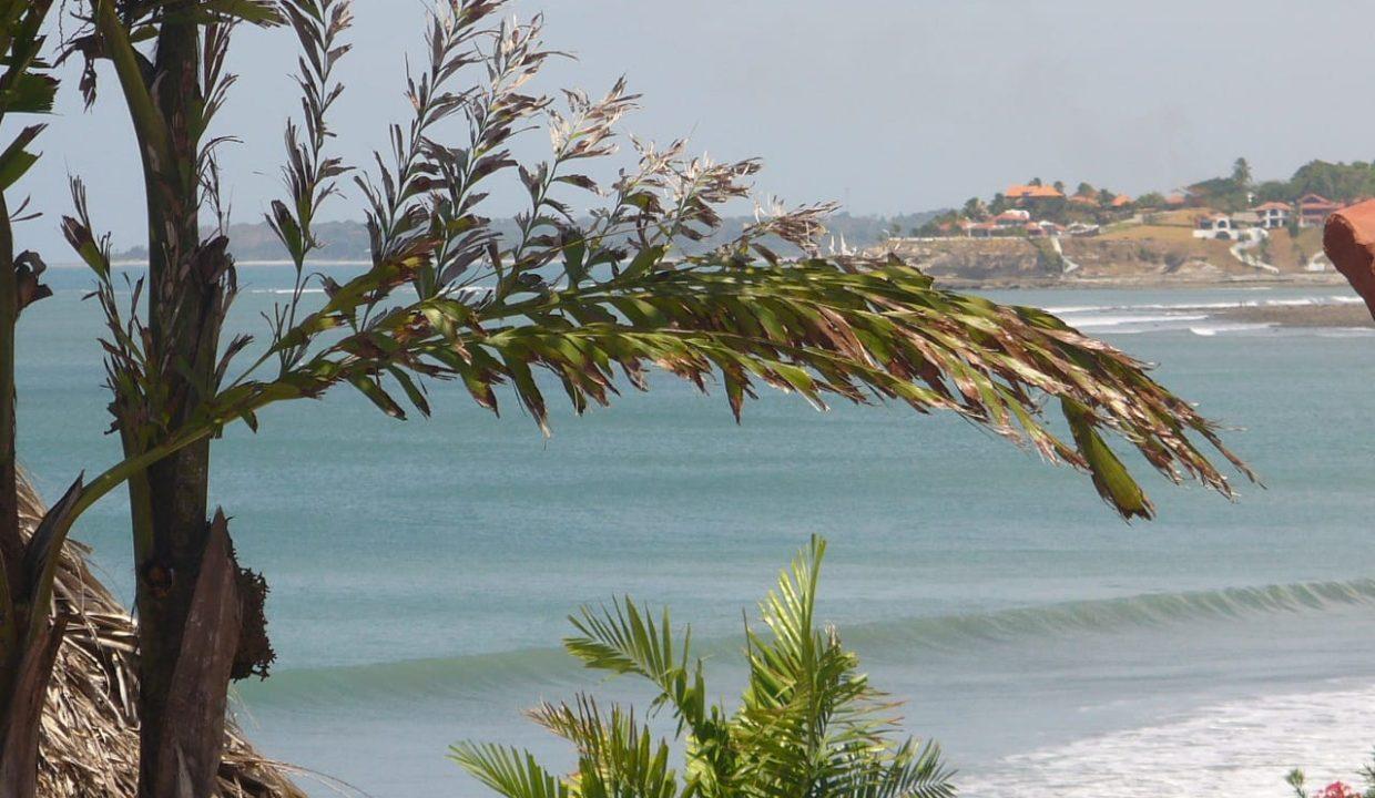 WhatsApp Image 2026-01-30 at 8.32.30 AM