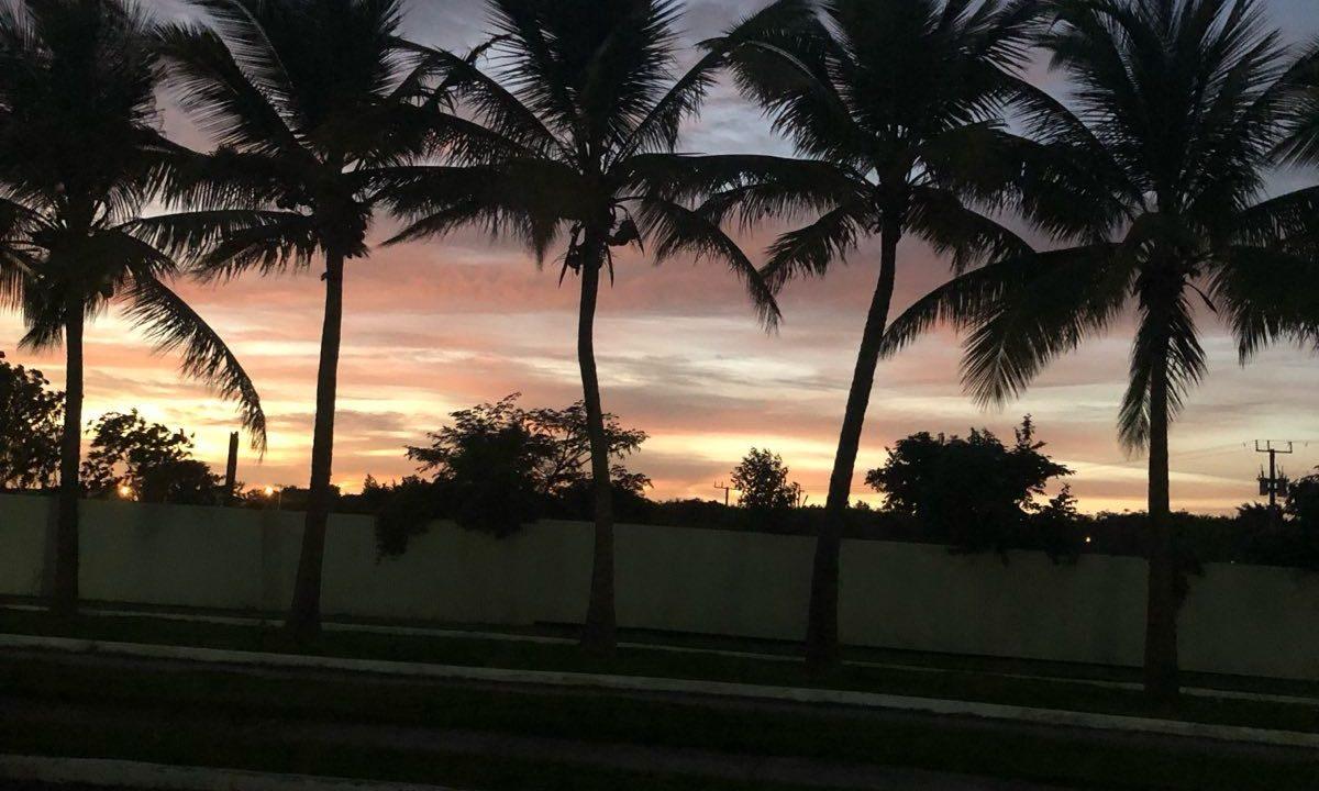 WhatsApp Image 2026-02-05 at 12.21.15 PM (1)