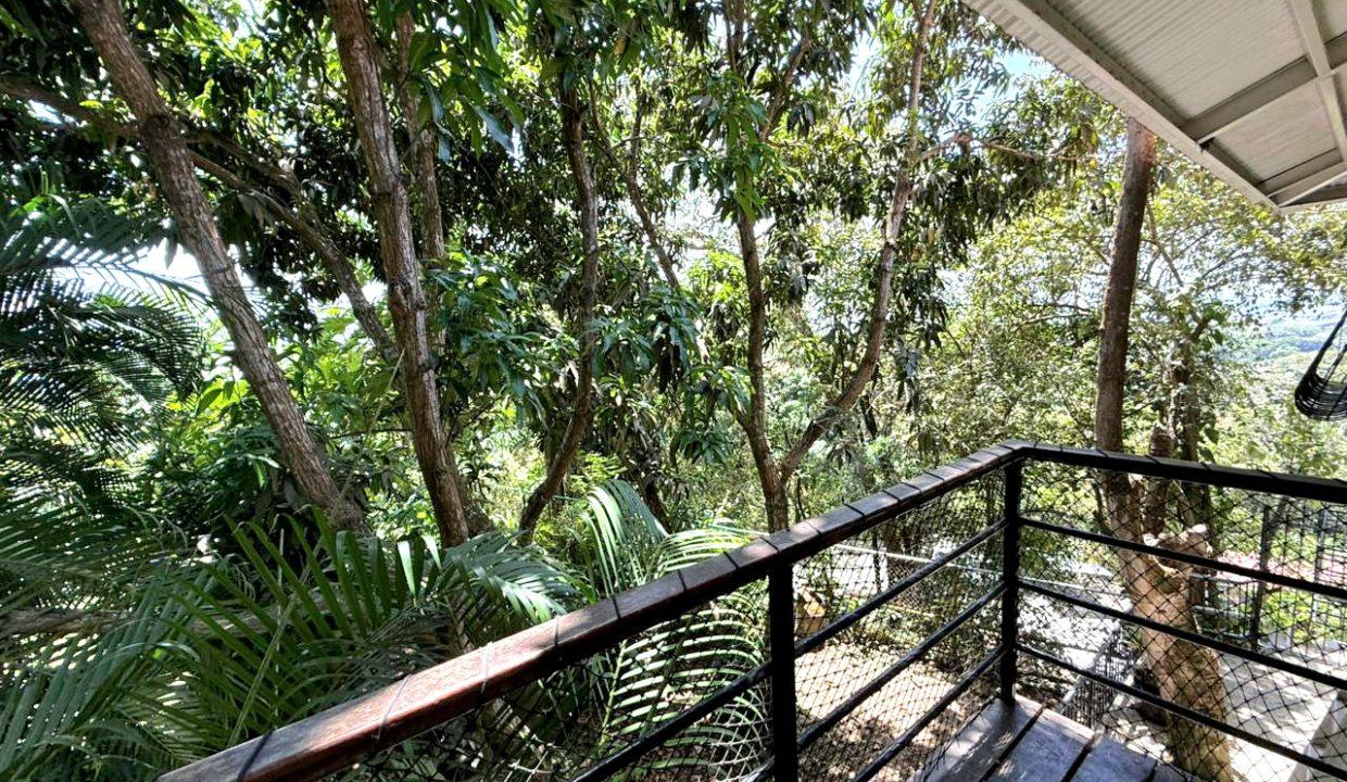 WhatsApp Image 2026-02-26 at 06.51.31