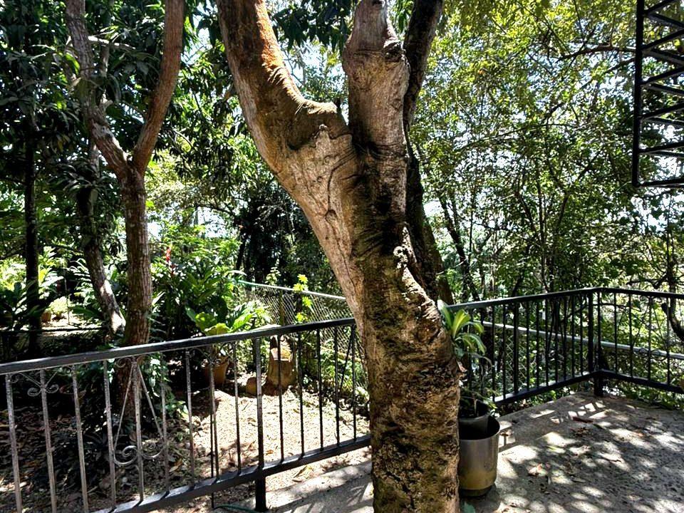 WhatsApp Image 2026-02-26 at 06.51.44 (2)