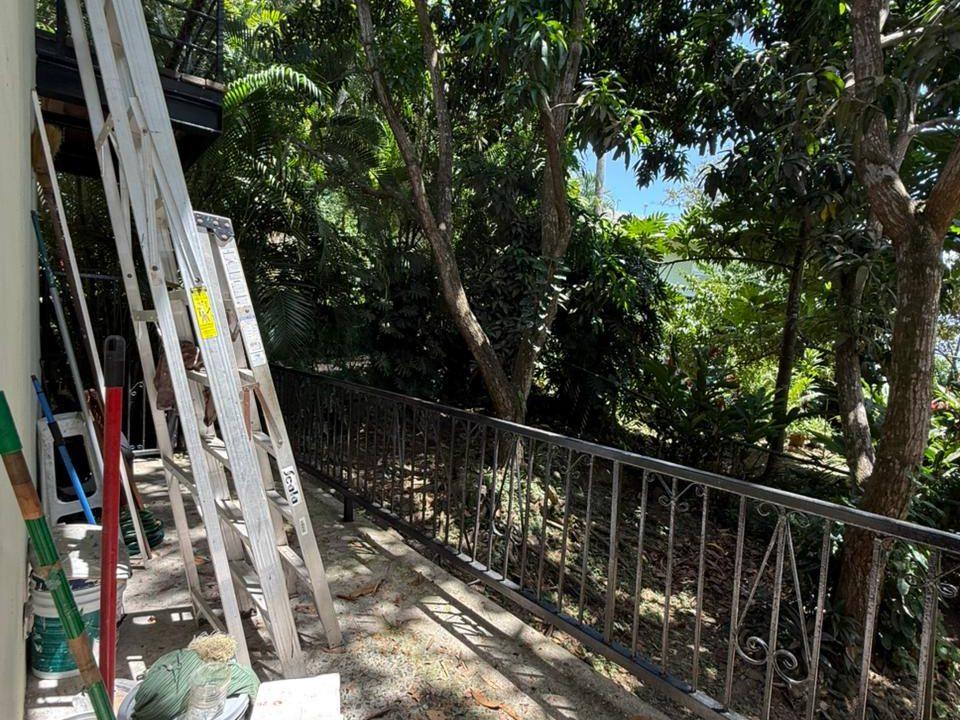 WhatsApp Image 2026-02-26 at 06.51.45