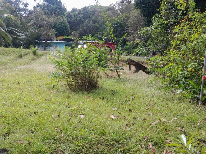 🏡 Small House with Large Land for Sale – Great Opportunity!