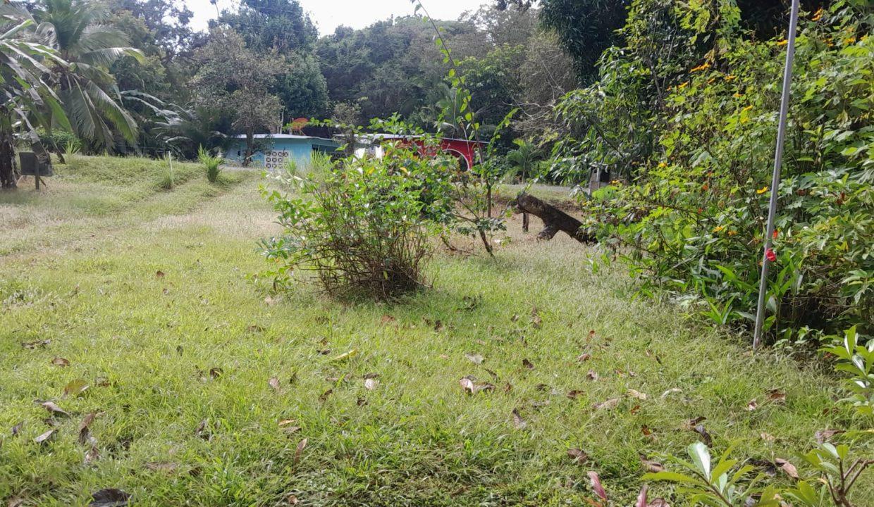 WhatsApp Image 2026-03-12 at 9.13.07 AM (2)