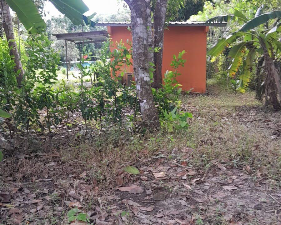 WhatsApp Image 2026-03-12 at 9.13.07 AM