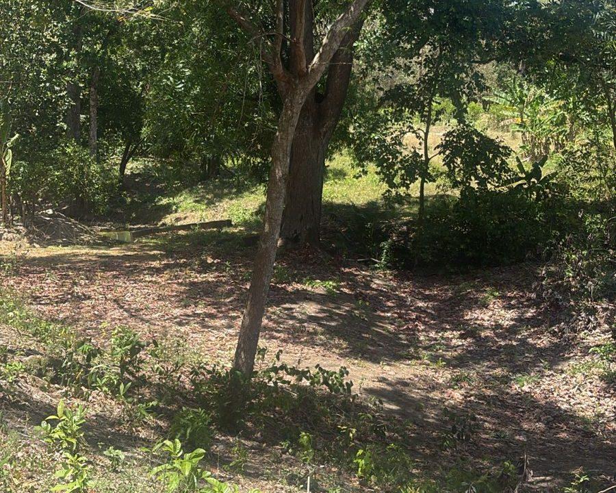 WhatsApp Image 2026-03-12 at 9.55.55 AM (1)