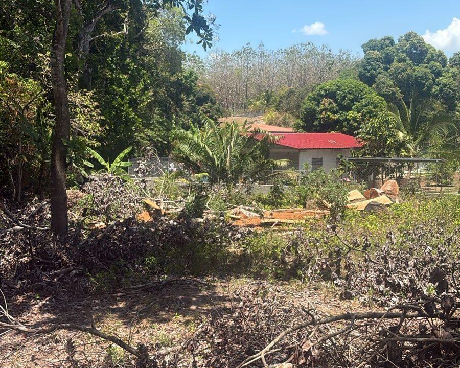 WhatsApp Image 2026-03-12 at 9.55.55 AM (2)