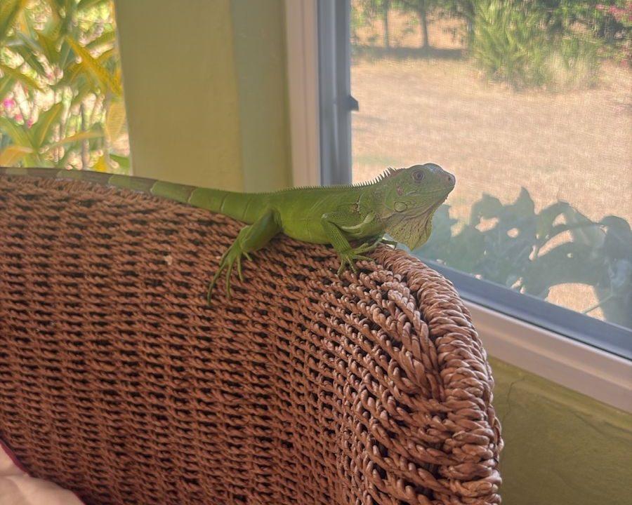 WhatsApp Image 2026-03-28 at 2.33.41 PM (1)