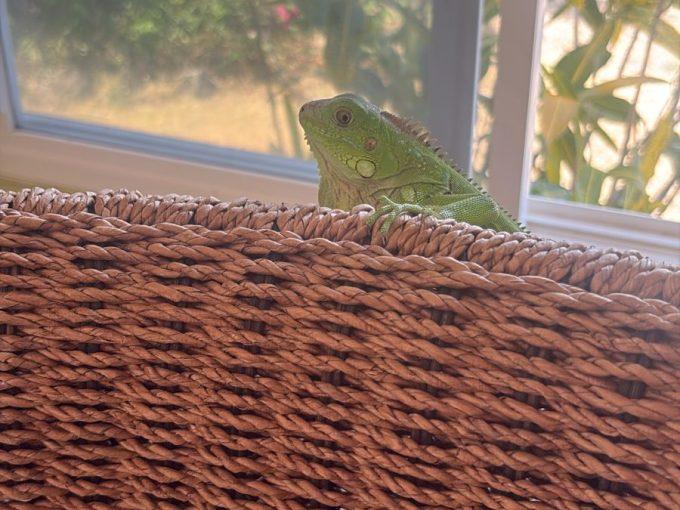 Ocean View Villa For Sale in Punta Barco Resort