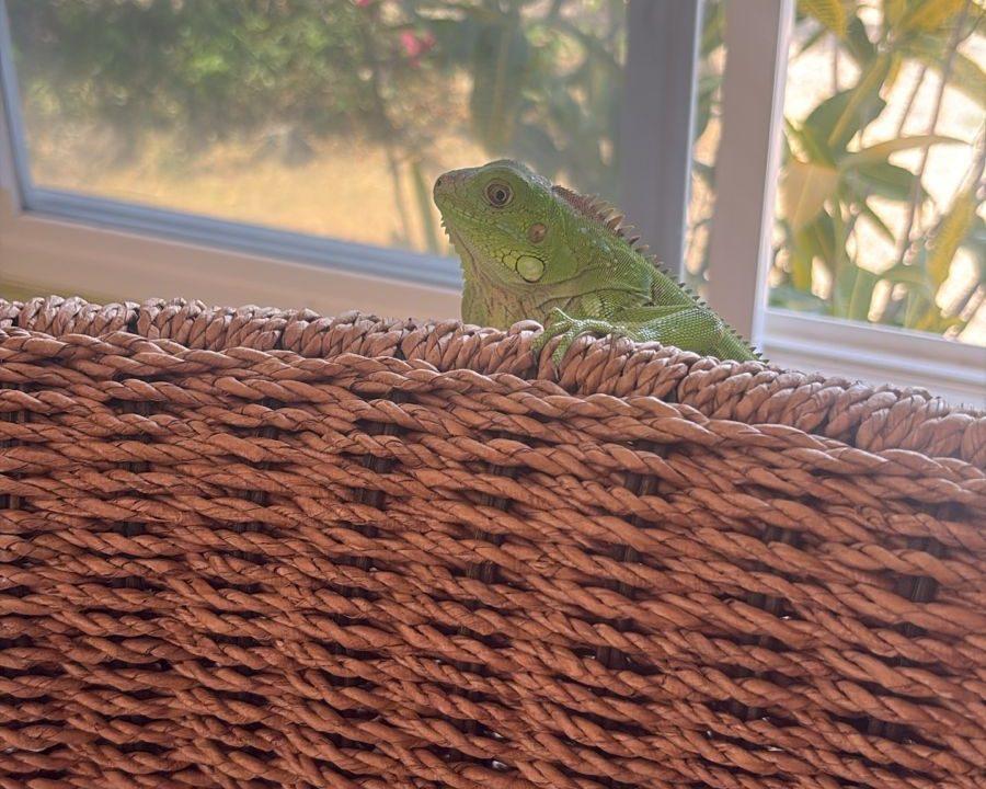 WhatsApp Image 2026-03-28 at 2.34.27 PM