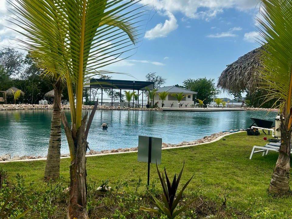 WhatsApp Image 2026-03-30 at 14.04.53 (2)