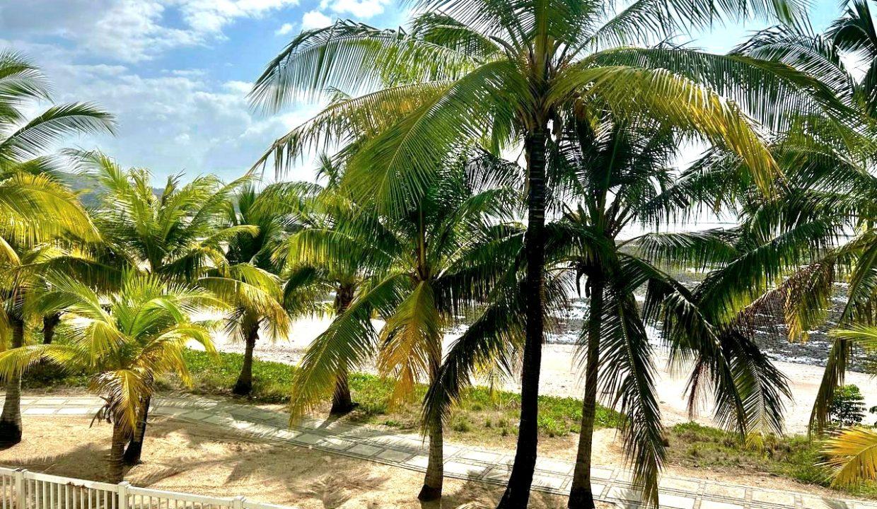 WhatsApp Image 2026-03-30 at 14.04.58