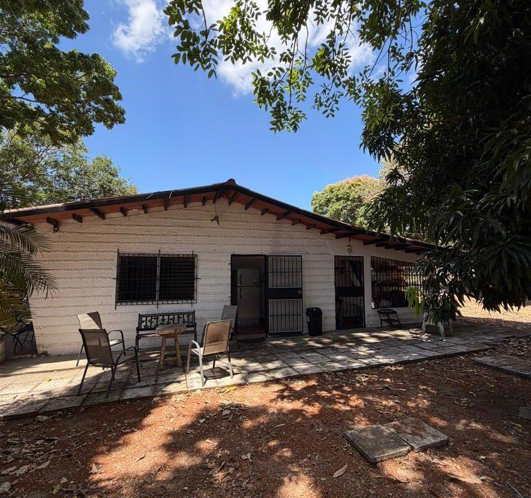 a29cf3d4-2d03-45f5-955f-19e838e82675