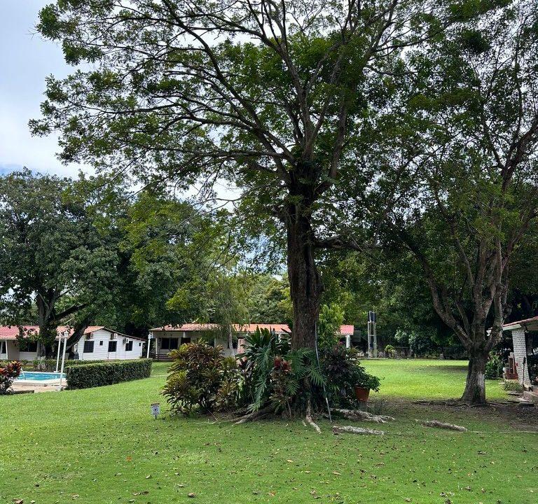 efb617d4-8619-4576-86dd-e46c0f0d3daf