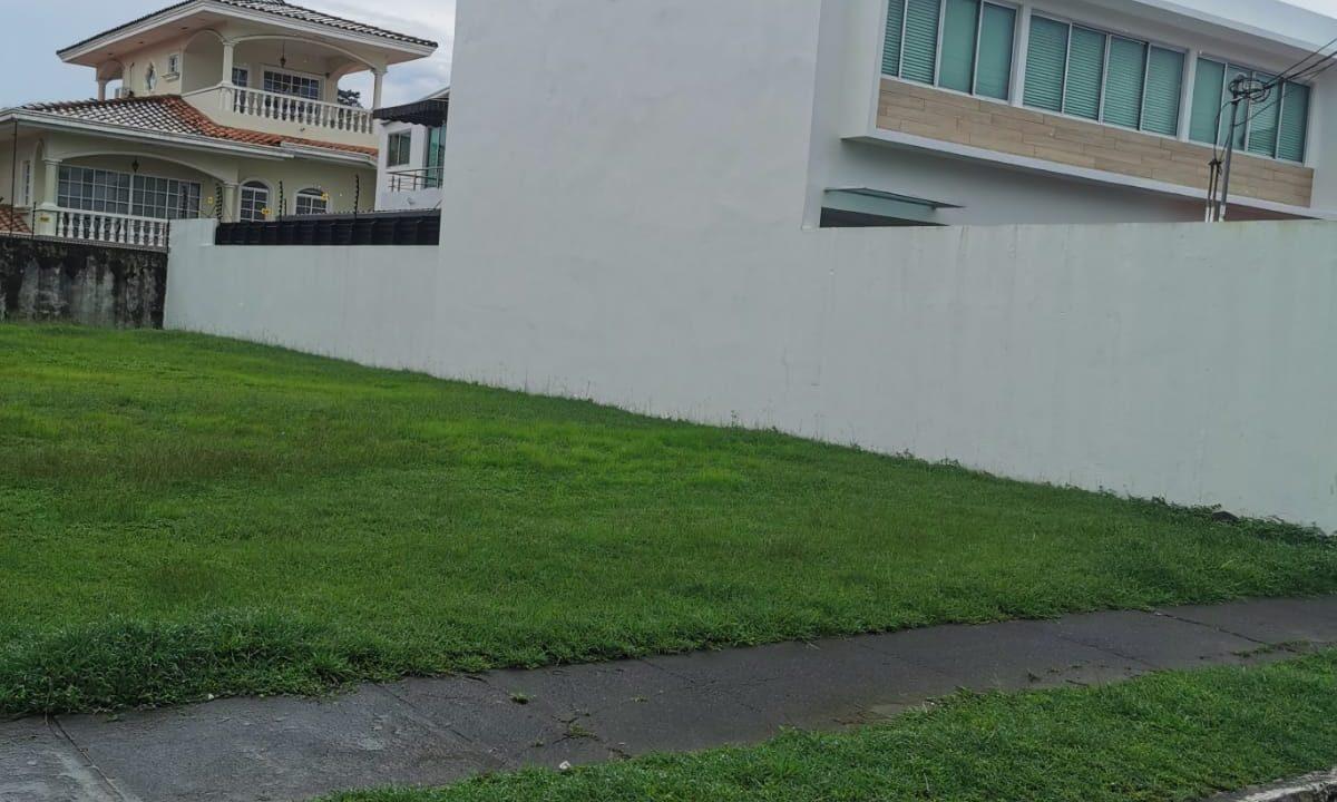 altos de panama 6