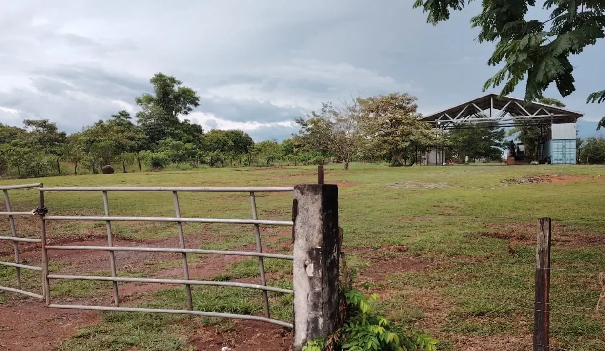 propiedad comercial algarrobos chiriqui (10)