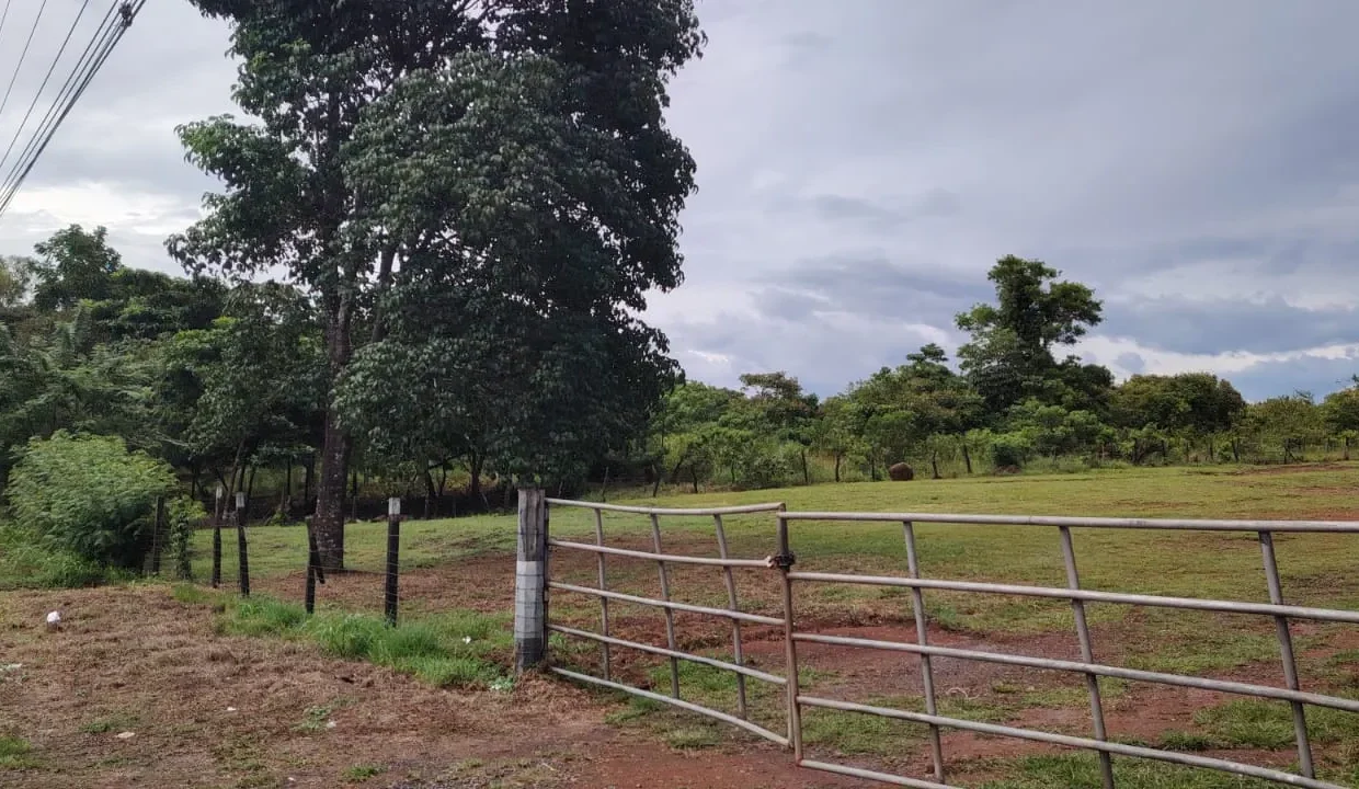 propiedad comercial algarrobos chiriqui (11)