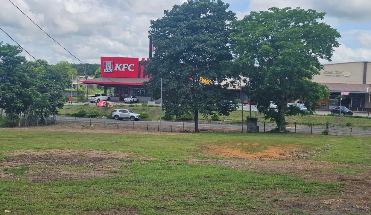 propiedad comercial algarrobos chiriqui (2)