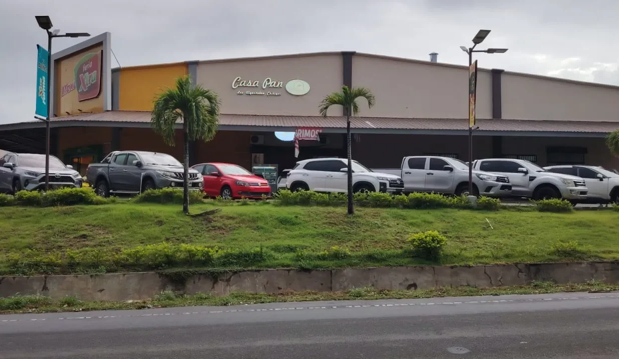 propiedad comercial algarrobos chiriqui (7)