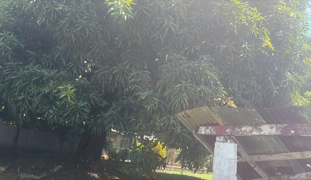 WhatsApp Image 2026-10-27 at 10.27.41 AM